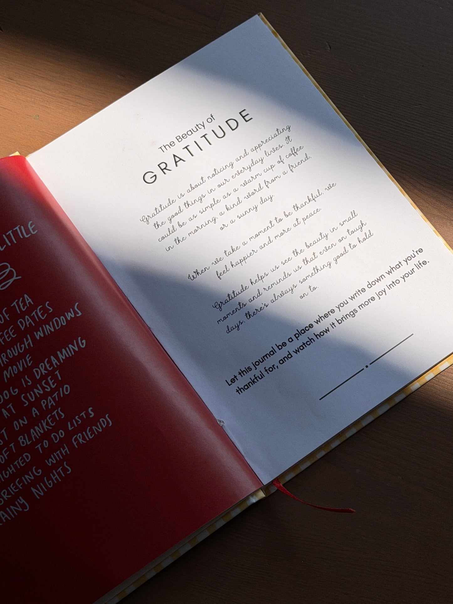 Everyday Gratitude Journal