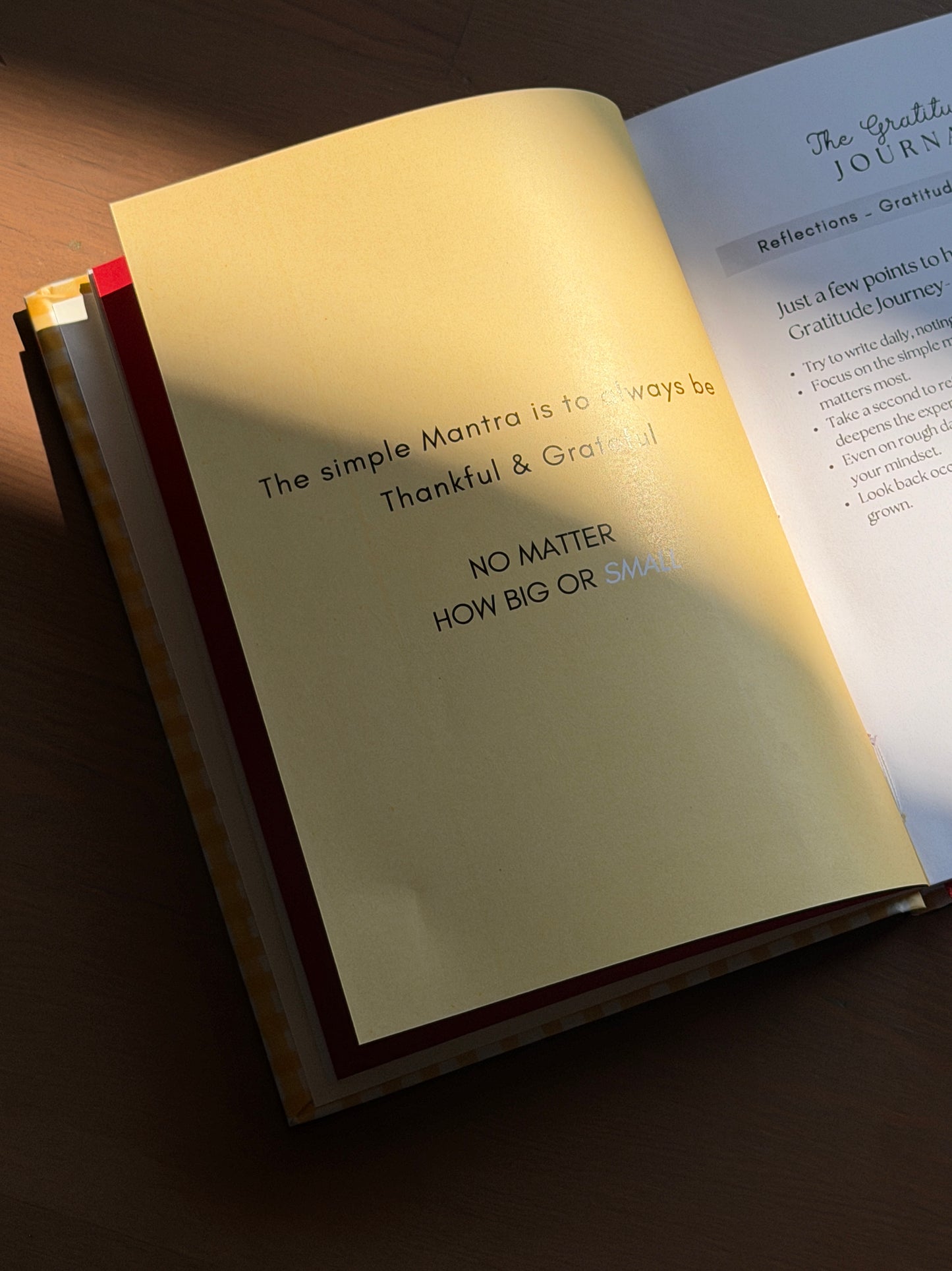 Everyday Gratitude Journal